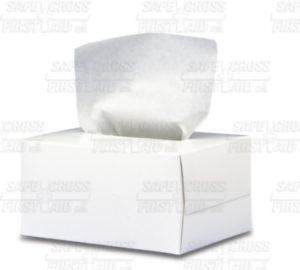 LENS CLEANING TISSUES - 300/box  (60/case) - S4872